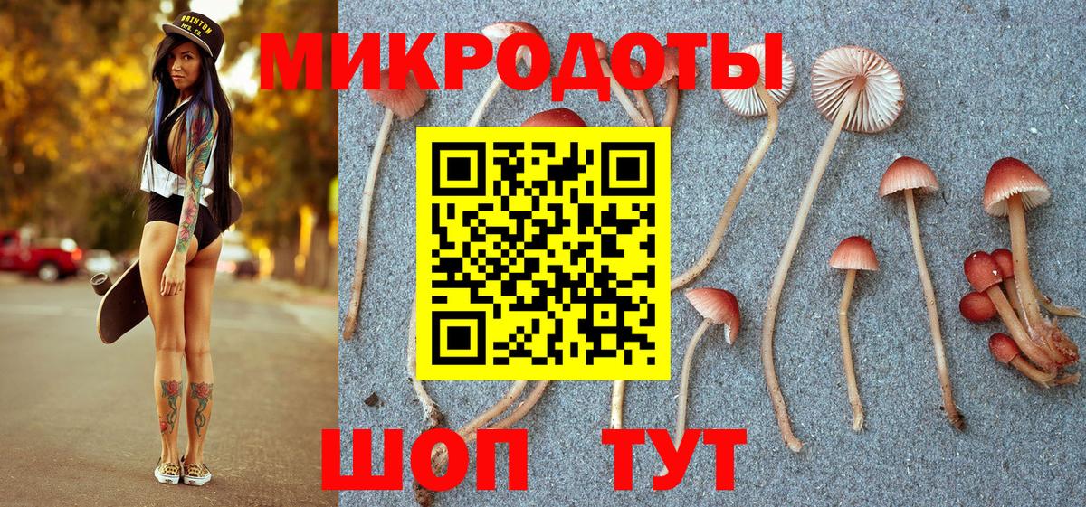 Галлюциногенные грибы прущие грибы  Галлюциногенные грибы Cubensis  Славянск-на-Кубани  Вход с VPN 